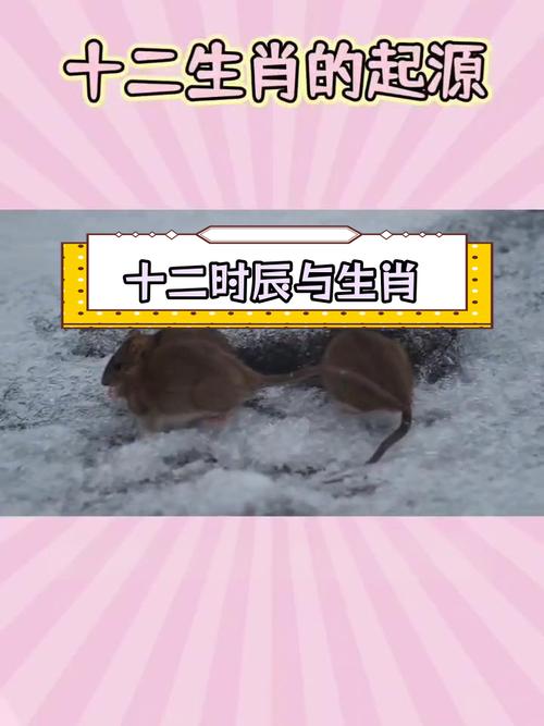 “月下提灯”是什么生肖动物的简单介绍
