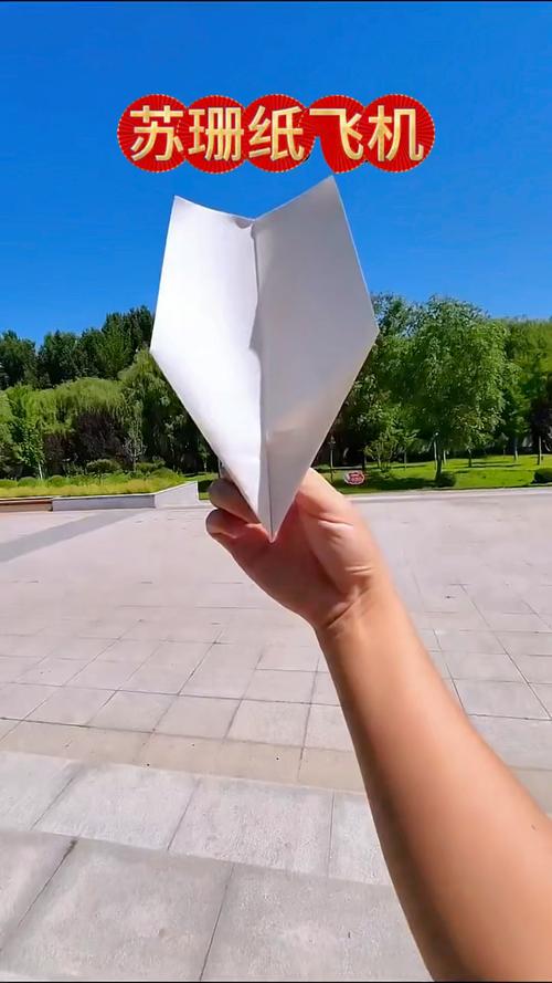 纸飞机下载的视频不能播放了-纸飞机下载的视频不能播放了吗