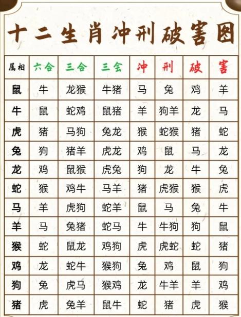今天相冲什么生肖-今天相冲什么生肖几岁