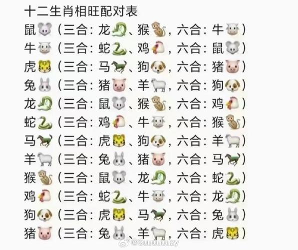 什么生肖好点-什么生肖最好玩