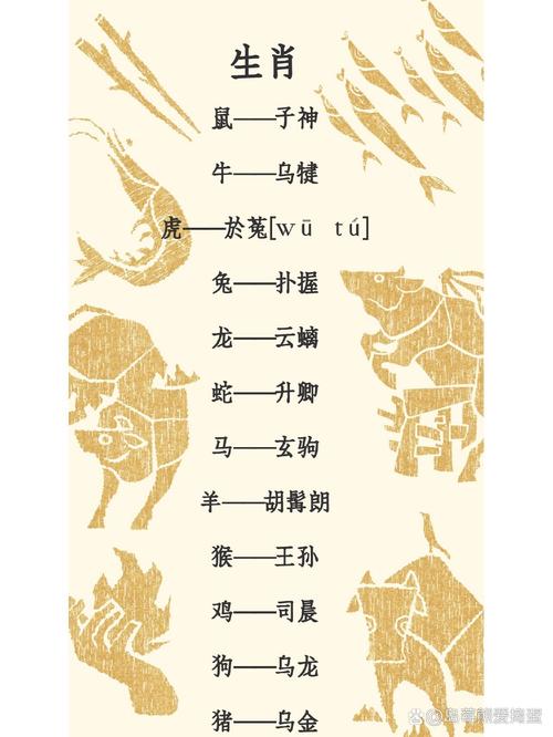 什么生肖是水的动物-十二生肖什么动物属水