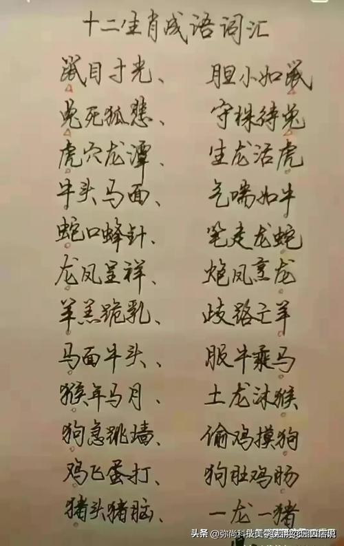 “劳苦功高农家宝”代表什么生肖的简单介绍