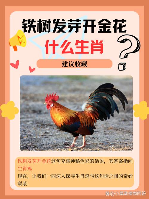 今期生尚找太子是什么生肖-今期生肖最好查,是哪个生肖