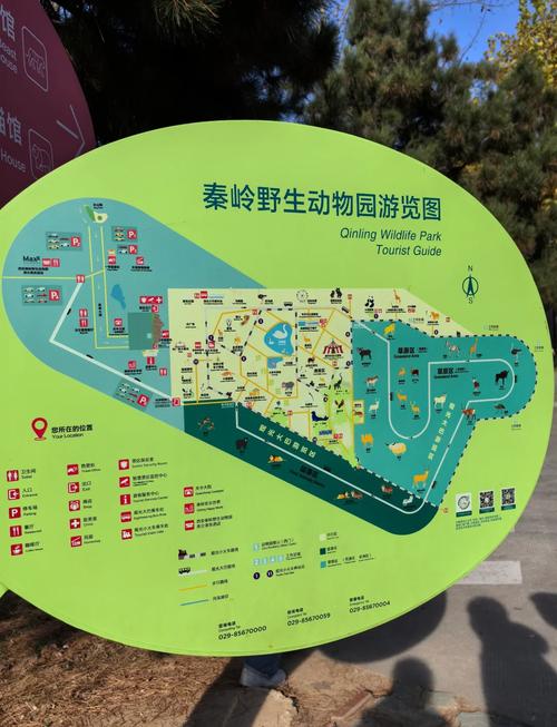 “骑兵逛公园”是什么生肖动物的简单介绍