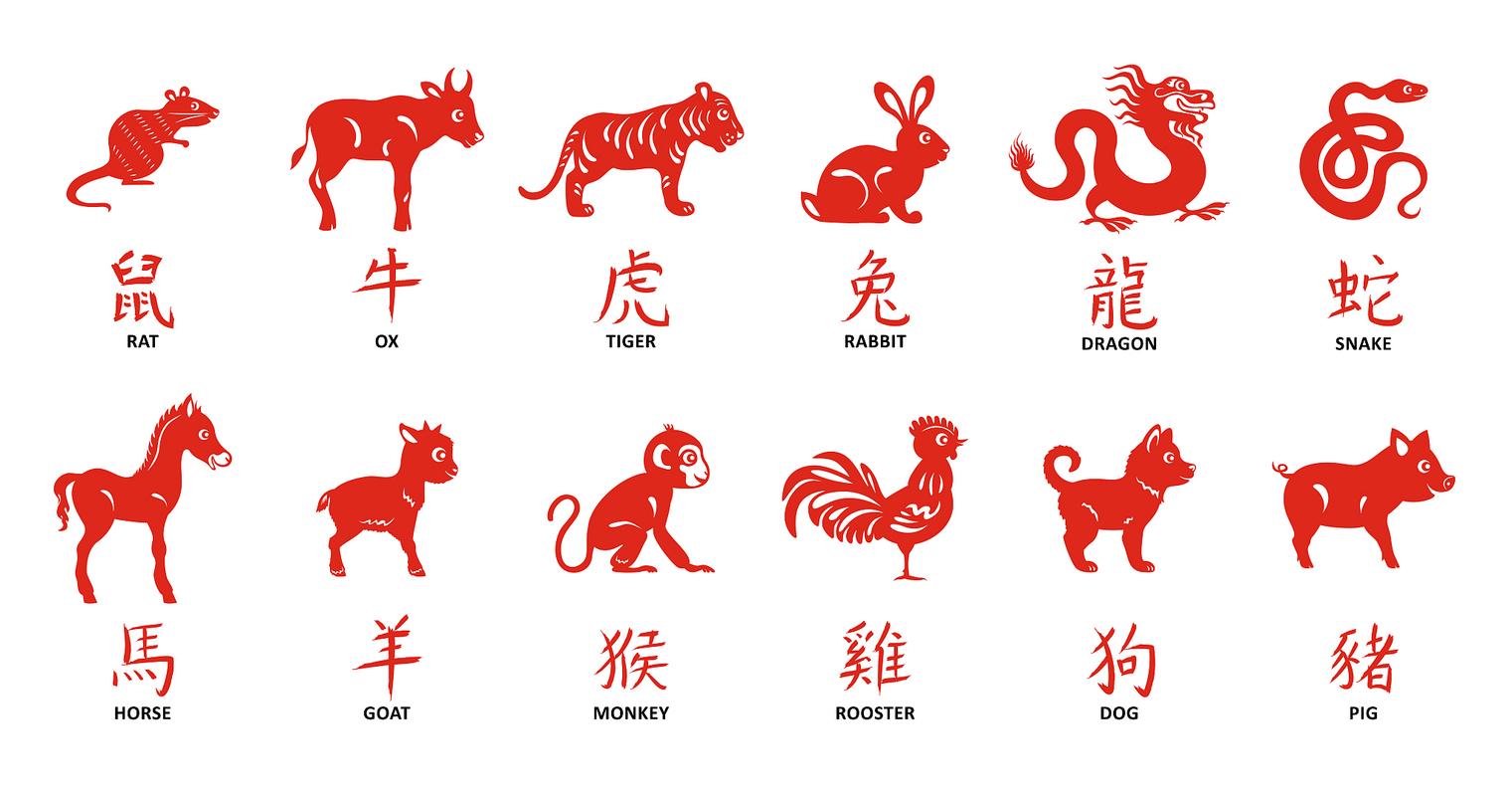 奇怪指什么生肖动物-奇怪指什么生肖动物图片