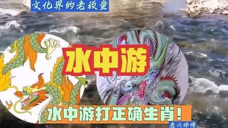 什么生肖是在水中的生肖-什么生肖是在水中的生肖动物