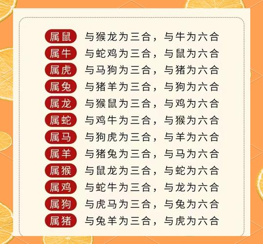 三必生打一生肖是什么-三必生打一生肖是什么生肖