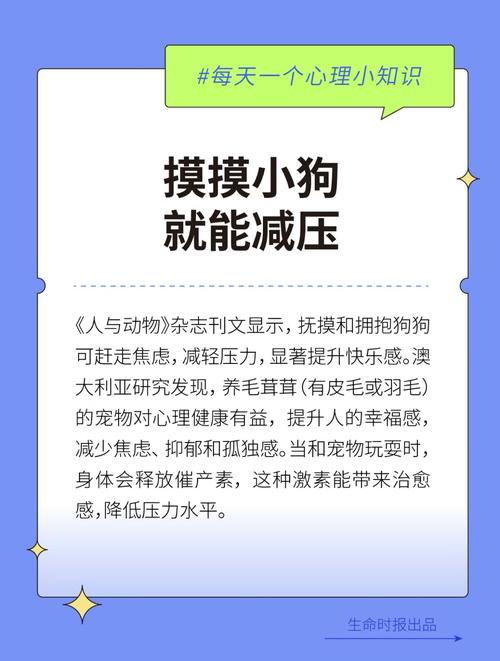 瑟瑟缩缩打一生肖动物的简单介绍