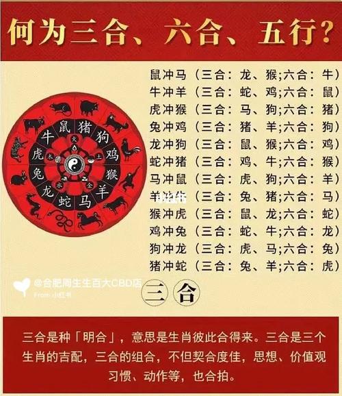 今期生肖回头转打一生肖-今期生肖往回看是什么意思