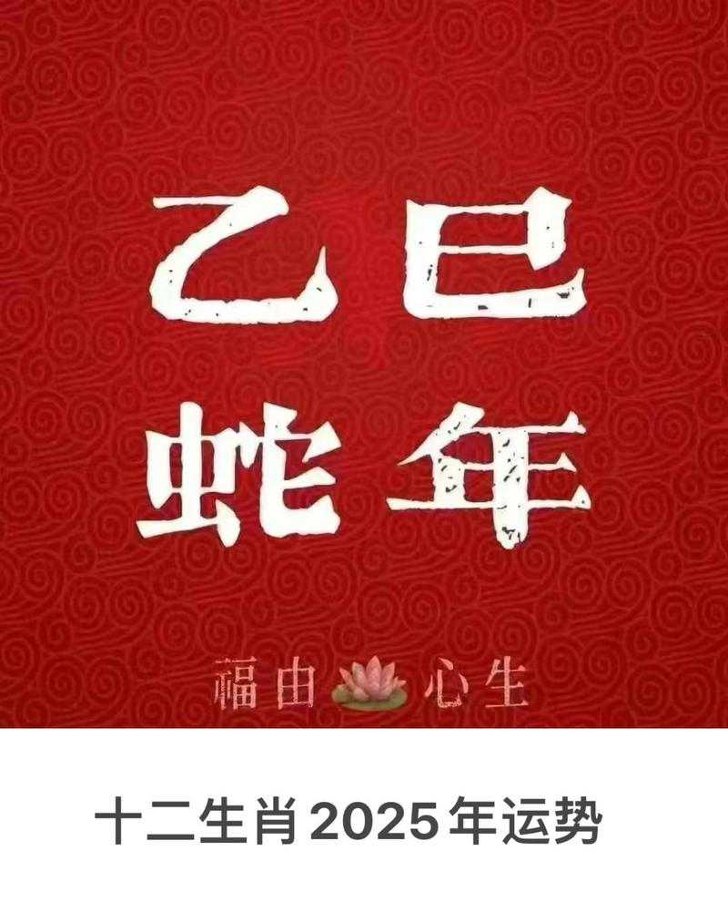 今期生肖定龙蛇打一精准生肖-它国风情今再现,今期生肖定龙蛇