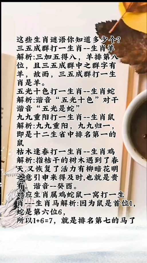 九九归一打一生肖-九九归一打一生肖正确答案