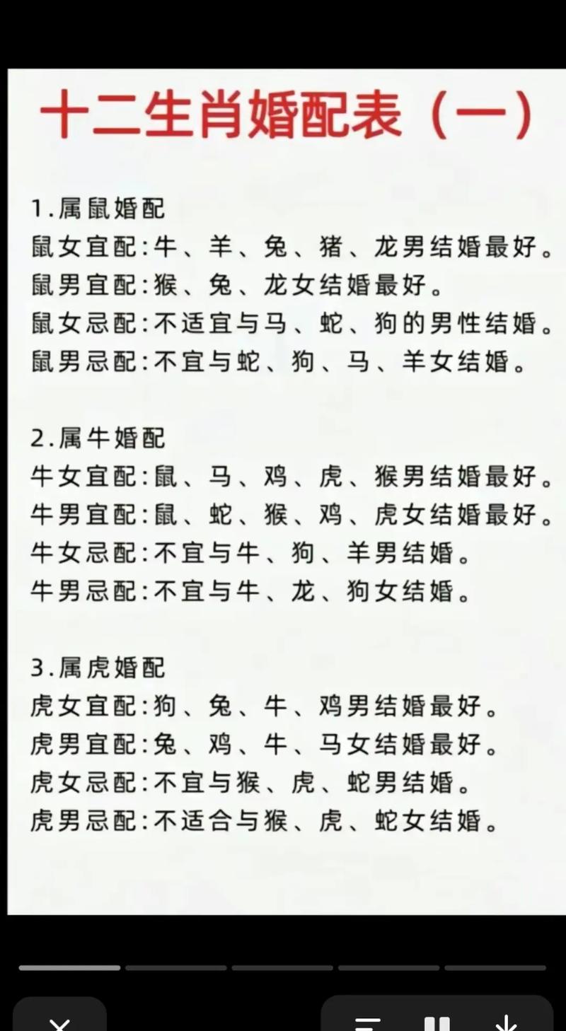 生肖鼠和什么生肖最配-生肖鼠和什么生肖最配兄妹