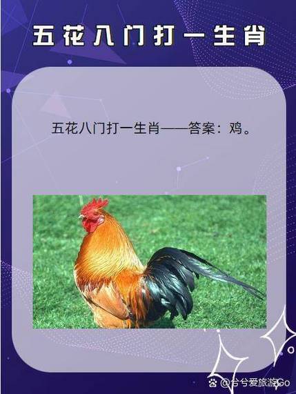 关于劳而无功屡战屡败打一生肖的信息
