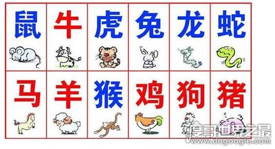 帮字打一生肖是什么动物的简单介绍
