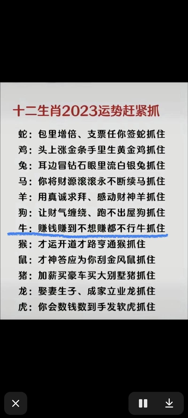 今期生肖谈事正确答案是什么意思-今期生肖谈事正确答案是什么意思啊