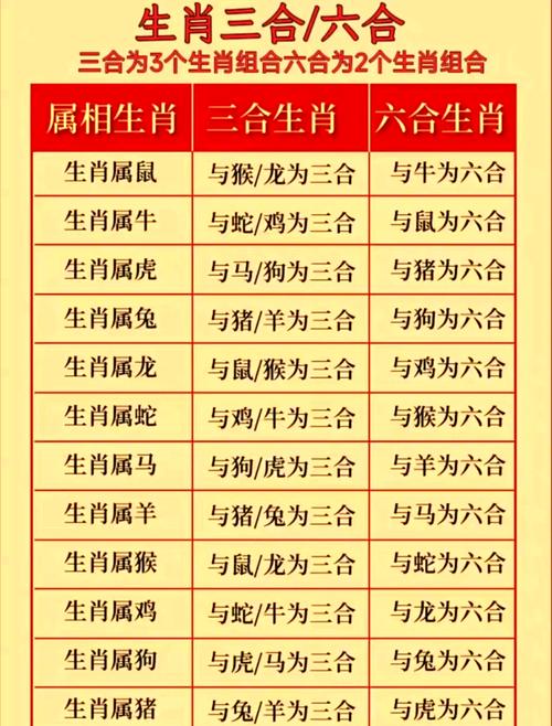 飞龙在天打一生肖最佳答案-飞龙在天是什么意思打一生肖