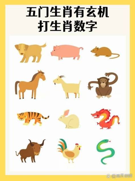 看出玄机在本期什么生肖-看出玄机在本期什么生肖能中奖
