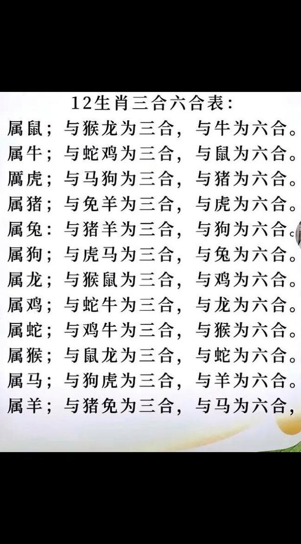 二三合数定今期是指什么生肖-二三合数今期开打一生肖什么生肖