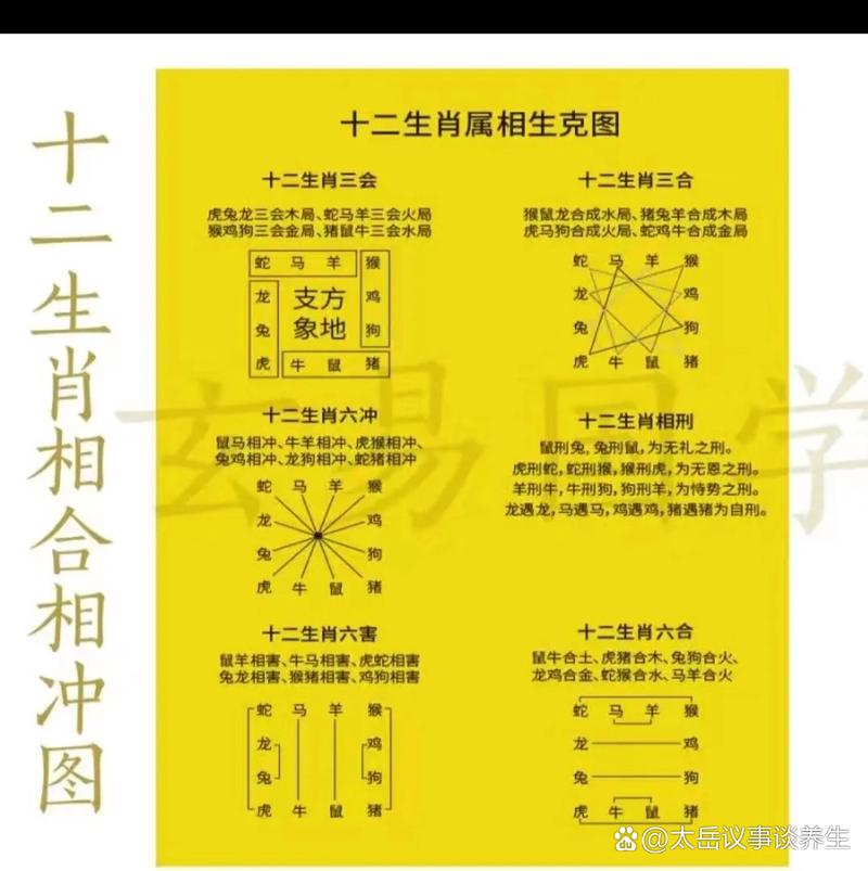 冲代表什么动物打一生肖的简单介绍