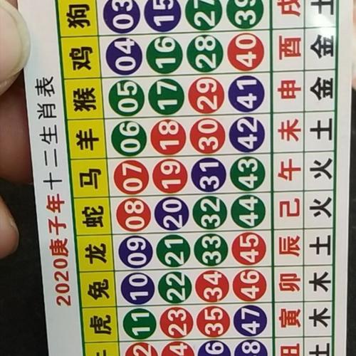今期喂好打一准确生肖-今期生肖要分清是什么生肖