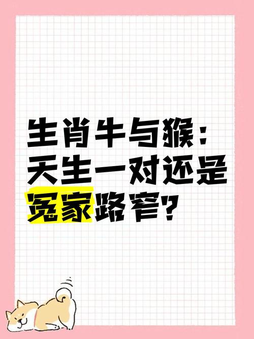 嘢字打一生肖-字打一生肖数字