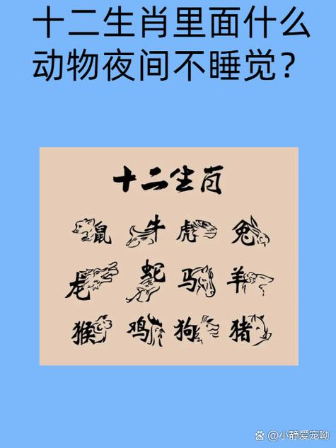 关于“六上留尾诗袤字，不是汉界莫沾好”打一动物生肖的信息