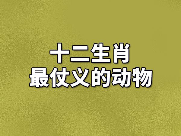 “小家凶恶训儿郎大家礼义教子弟”是什么生肖动物的简单介绍