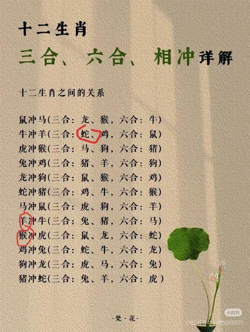 “白天见鬼”打一最佳准确生肖的简单介绍