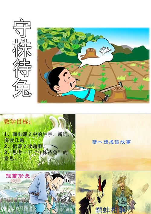 守株待兔打一生肖的动物-守株待兔是什么生肖打一数字