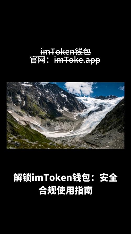 token钱包安全吗-token im钱包