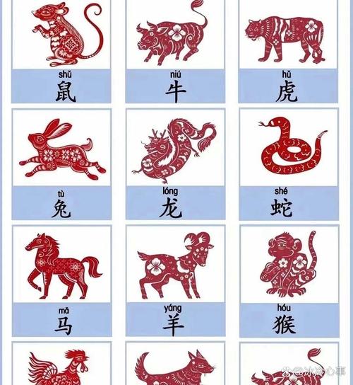“丛对一”指什么生肖的简单介绍