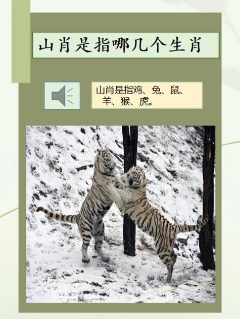 今期生肖有看头什么意思?-今期生肖有看头买上买下不是牛是什么生肖