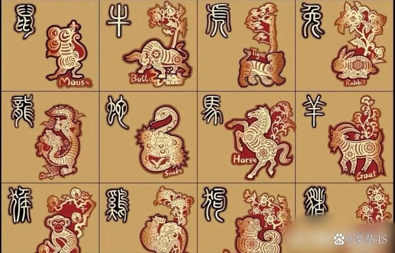 丑肖那几个生肖-丑肖是指哪几个肖