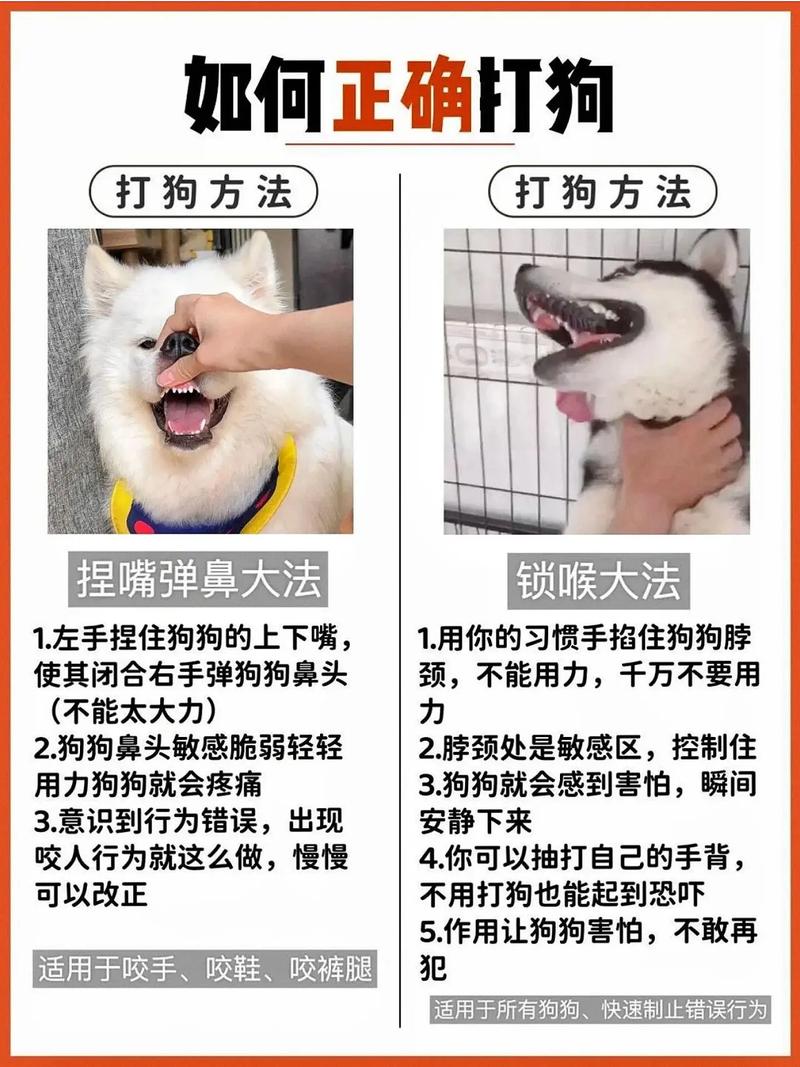 快狗加速器怎么用-快狗加速器怎么打不开