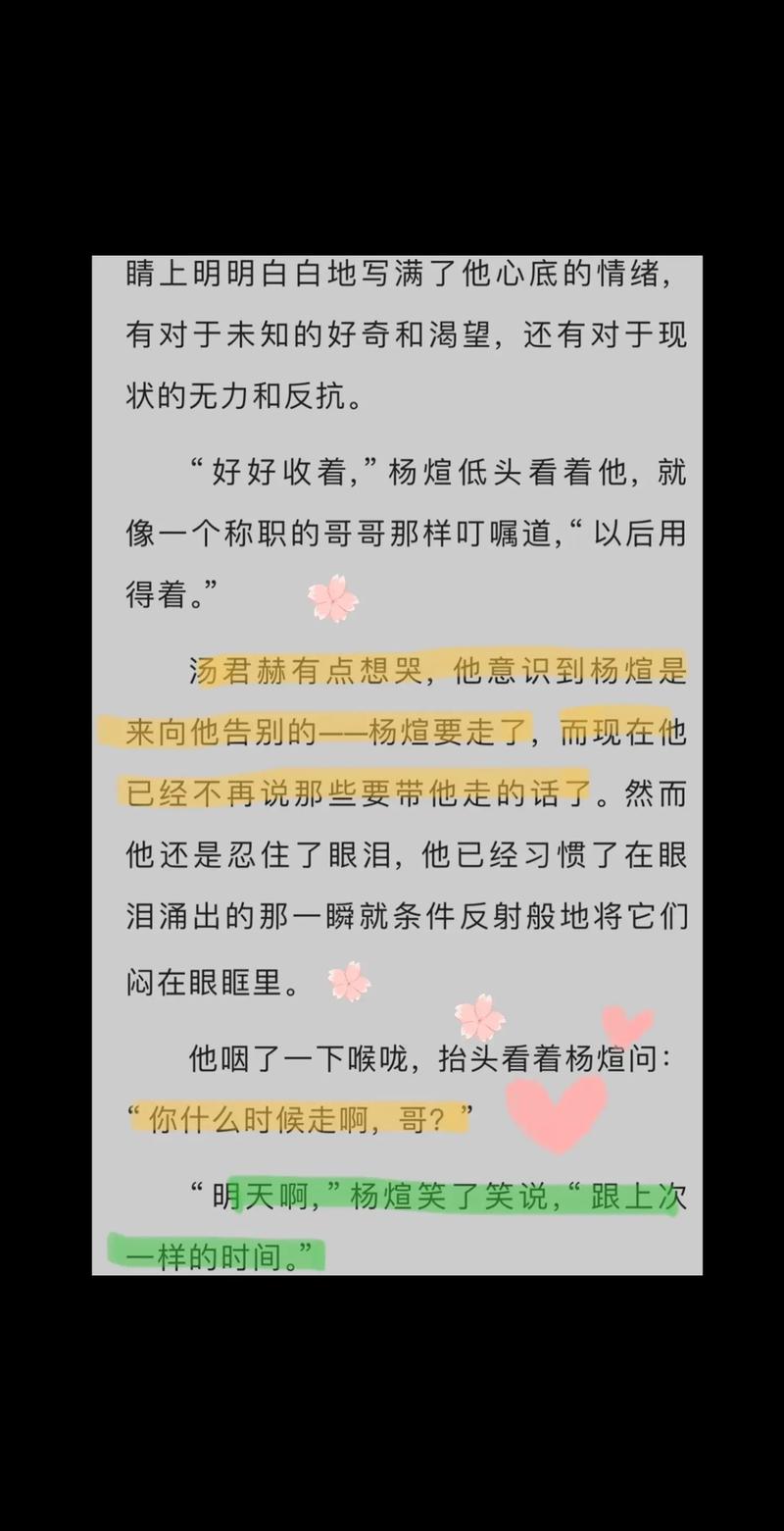 纸飞机小说全文阅读无弹窗-纸飞机小说全文阅读无弹窗无删改