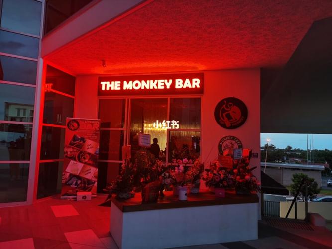 monkey-monkey bar