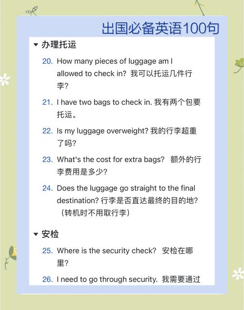 纸飞机app英文版-纸飞机app怎么翻译成中文
