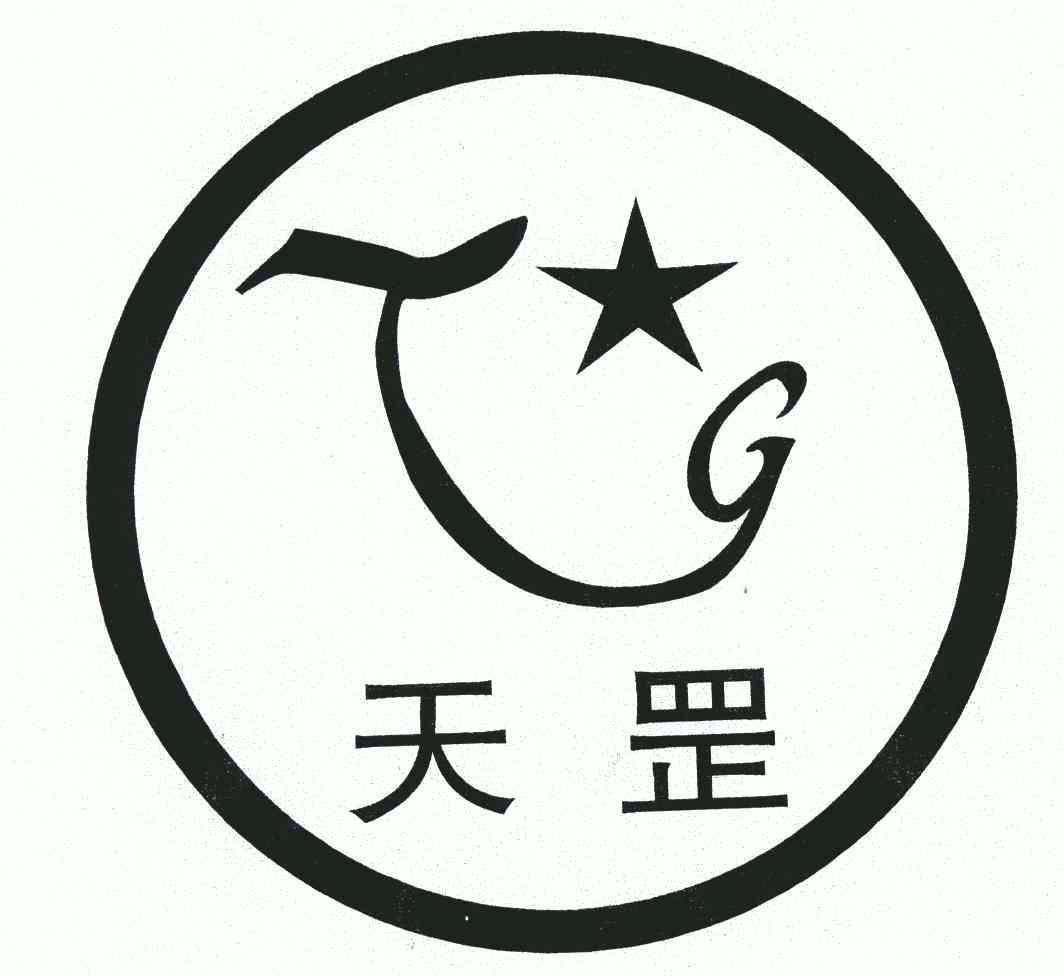 关于TG投资公司的信息