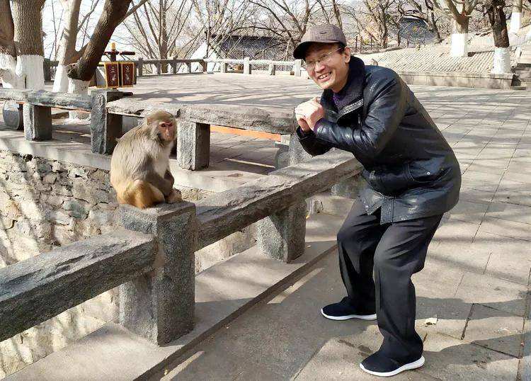 [花果山电报猴原声视频]花果山电报猴原视频无消音