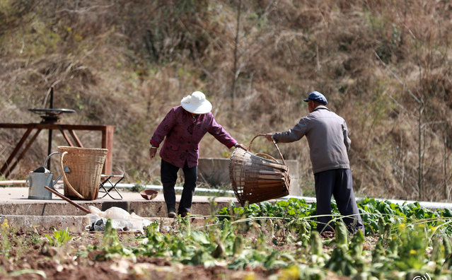 [电报员周大爷简历]电报员周大爷简历介绍