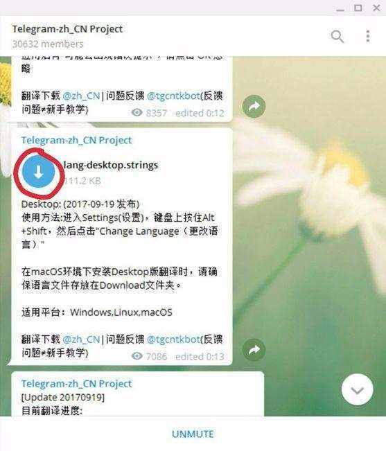 Telegram怎么看视频的简单介绍