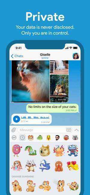 [Telegreat中文包]telegreat简体中文语言包