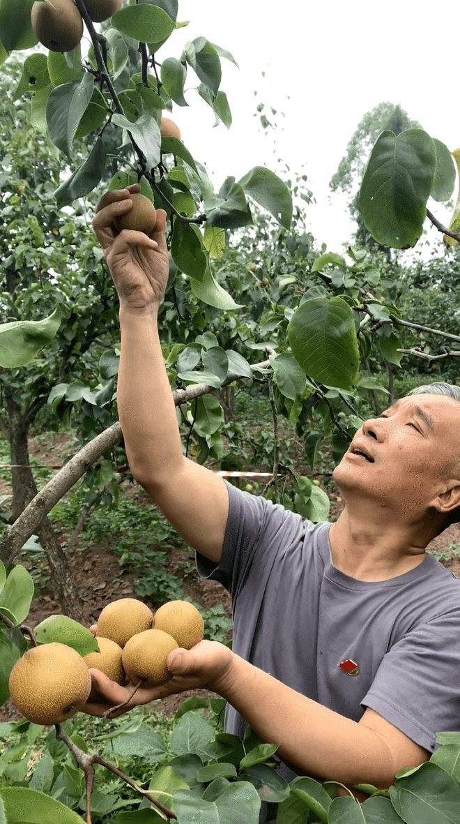 [周大爷]周大爷吃水果