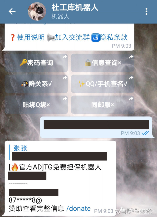 关于Telegram社工库机器人查询的信息