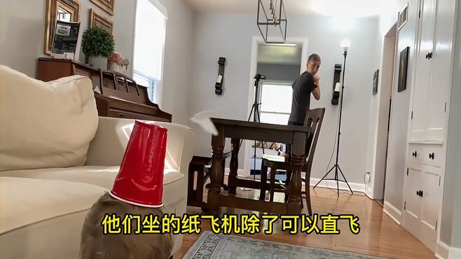 [苹果纸飞机获取参数]苹果上的纸飞机是什么