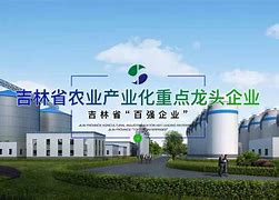 [telegreat官网原版]telegreat官方版下载