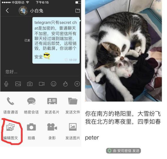 [telegraph聊天软件下载]telegreat中文官方版下载安卓