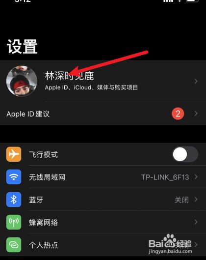 [苹果手机怎么下载飞机中文版]苹果手机怎么下载飞机中文版的