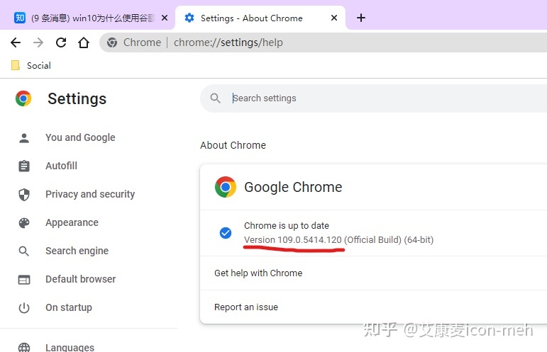 关于为什么中国禁止谷歌浏览器的信息