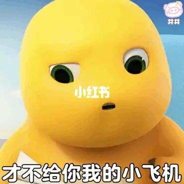 [小飞机来咯]小飞机飞来飞去